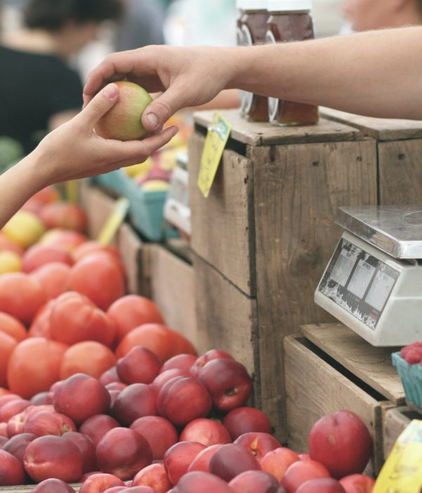 pexels-erik-scheel-95425